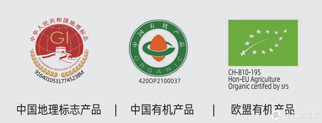 V01的背标局部信息