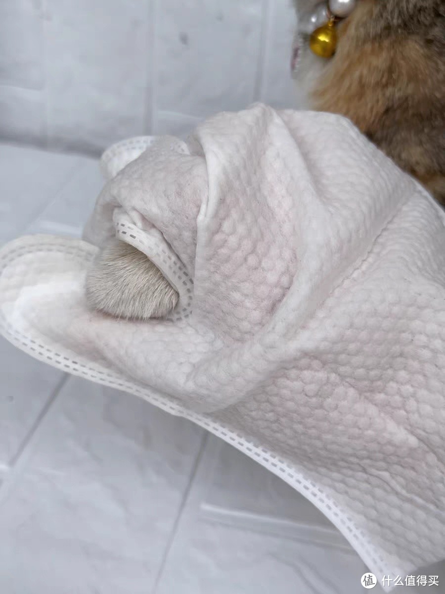 UOMIPET宠物免洗手套湿巾是一款专为猫咪和狗狗设计的清洁用品。
