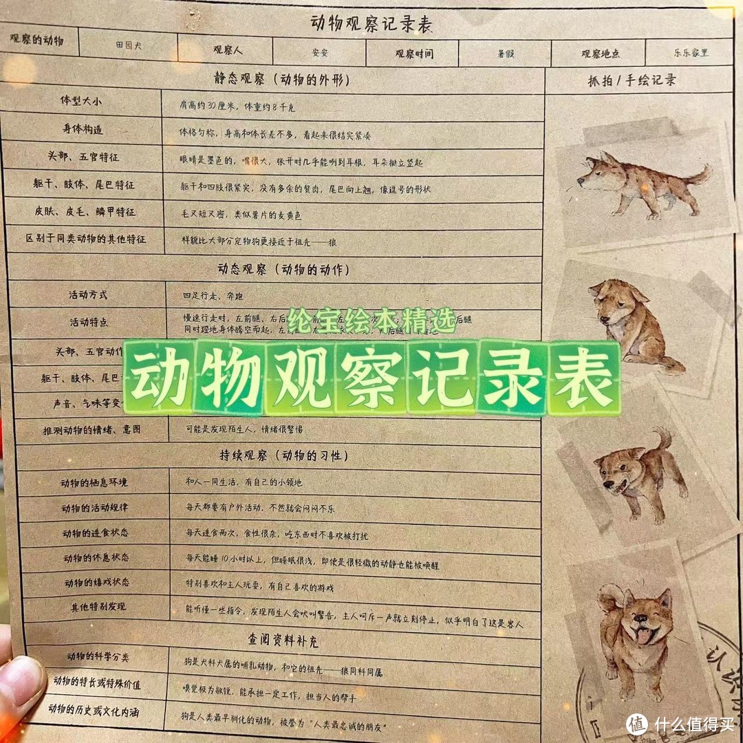 在寫觀察筆記的時候,寫作文的能力也得到了提升呢～動物觀察記錄