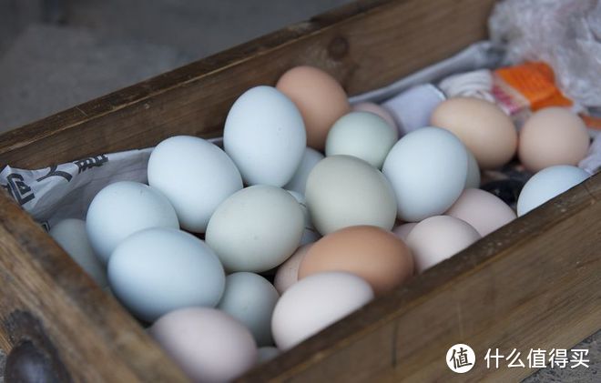 绿壳鸡蛋和普通鸡蛋的区别？