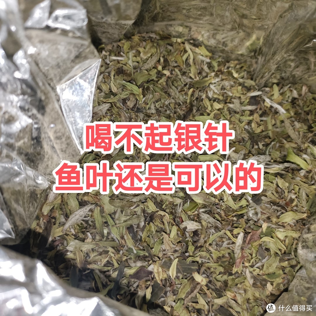 喝不起银针，鱼叶还是可以的