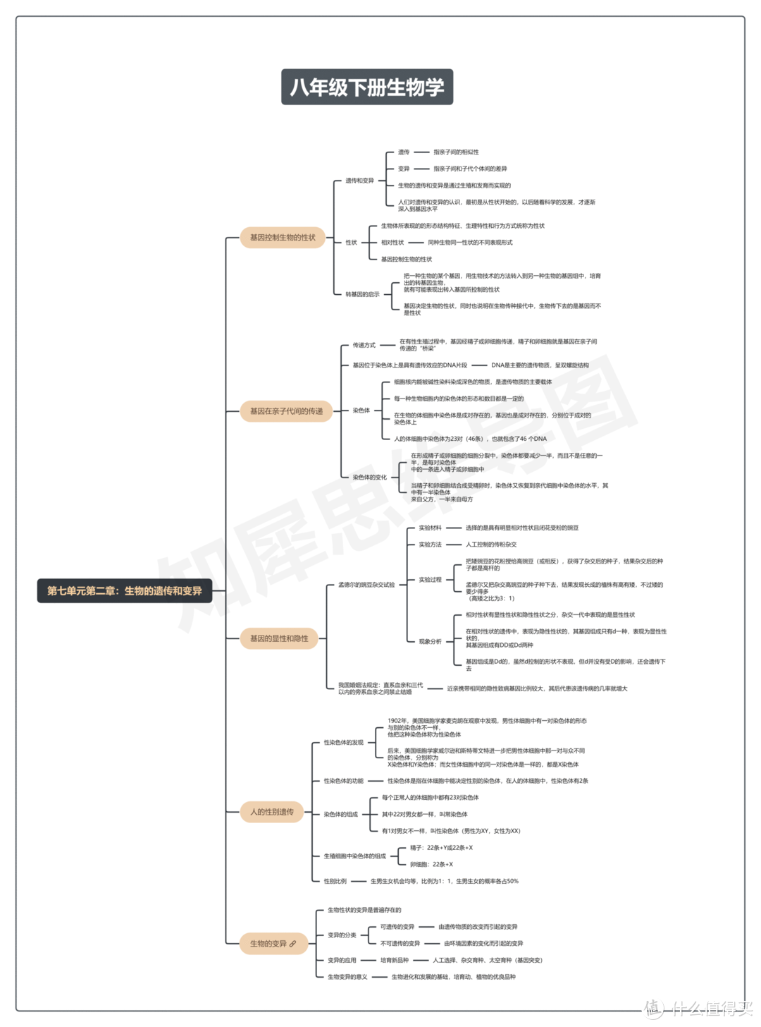 八年级下册生物思维导图知识点归纳总结，免费打印，人手一份！