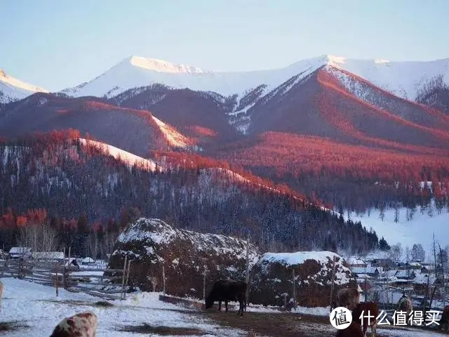 冬季的新疆有哪些值得一看的美景？
