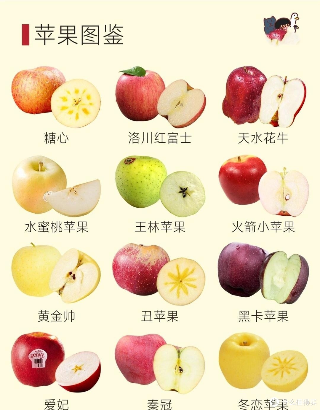 吃苹果好处多多，到底哪种苹果最甜最新鲜？