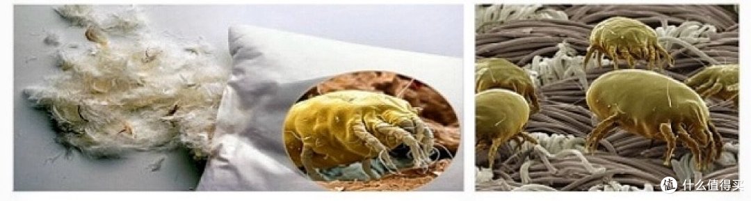 挑花眼，不知道除螨仪该怎么选？四款热销除螨仪亲测！友望/美的/松下/莱克吉米，看看哪款表现最突出！