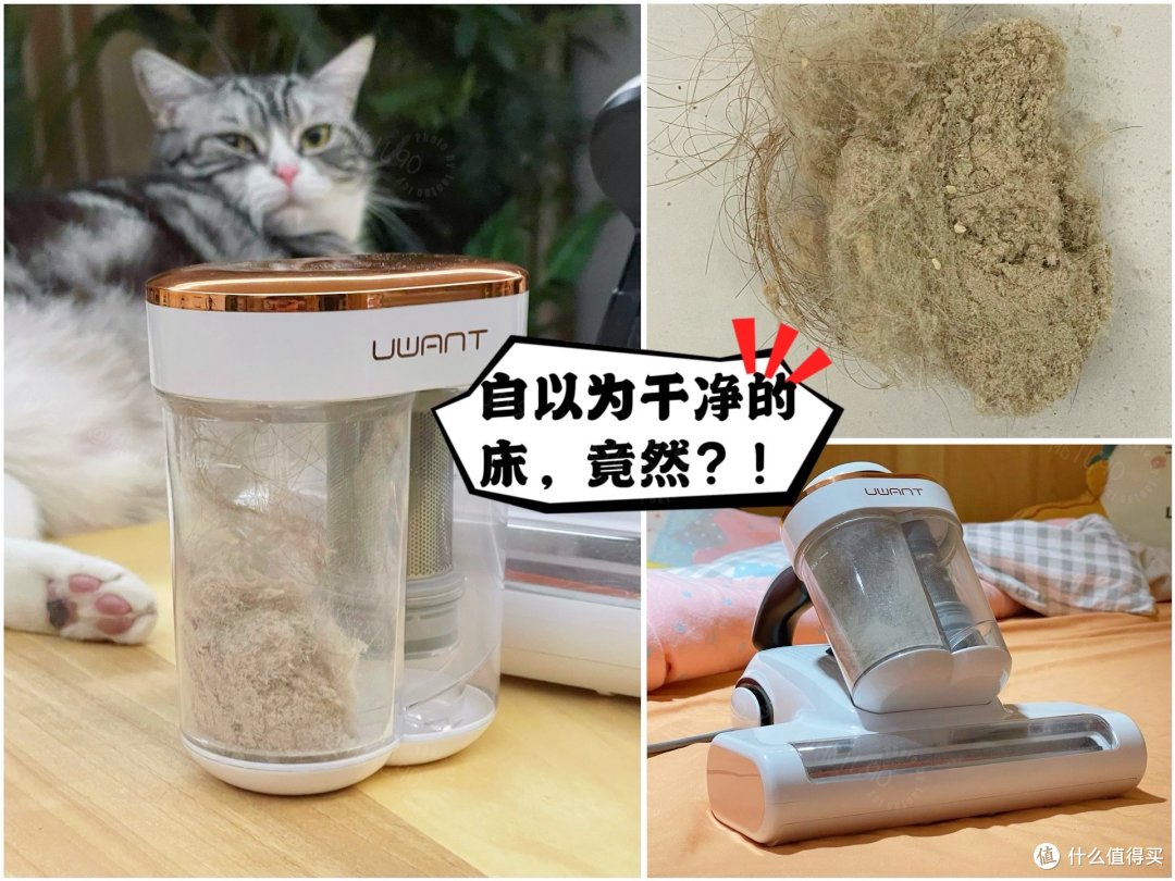 挑花眼，不知道除螨仪该怎么选？四款热销除螨仪亲测！友望/美的/松下/莱克吉米，看看哪款表现最突出！