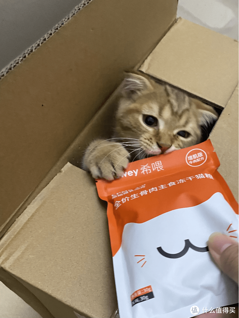 国产猫粮排名前十品牌有哪些好又便宜？好又便宜主食冻干猫粮分享