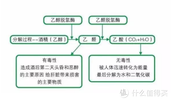 熬夜整理“6大”快速入睡法，半夜睡不着一定要试试！