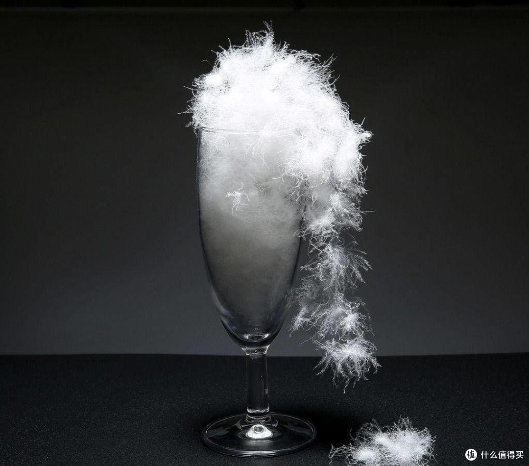 惊艳加拿大所产羽绒服背后竟然有着源自中国安徽六安市固镇镇农民养鹅