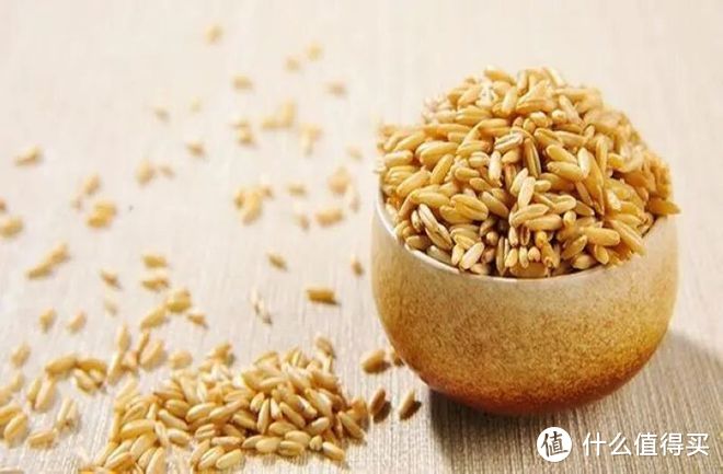 燕麦和莜麦有什么区别？