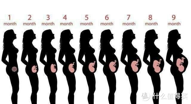 0--40周胎儿的发育过程，孕妈看了都直呼神奇，原来自己还有这功能
