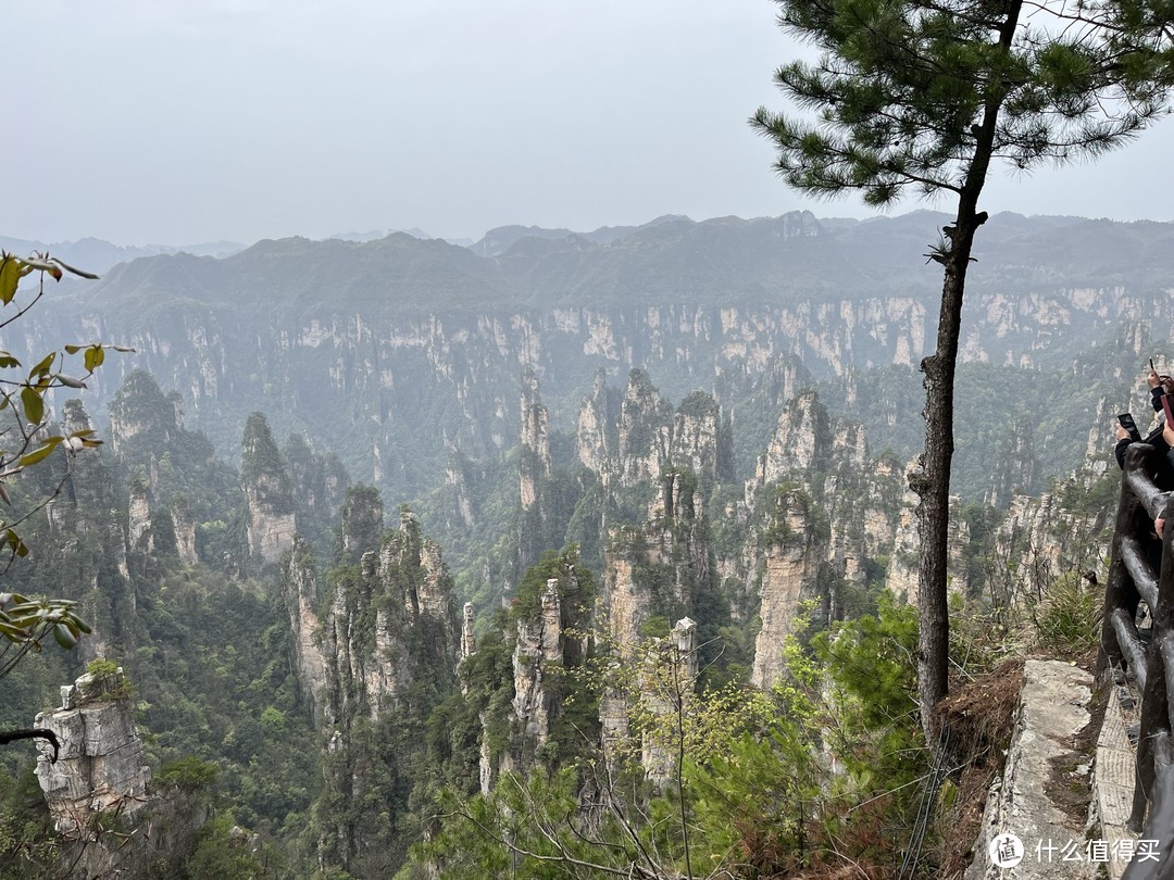 探访张家界：自然美景与文化深度游