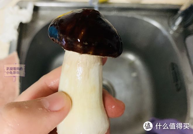 这种蘑菇很像松茸，但价格便宜又有营养，只需简单一做，鲜味即来