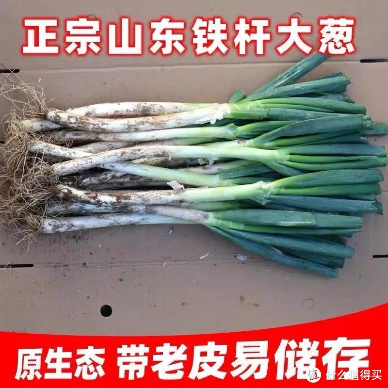 《新鲜美食的秘诀：精选食品生鲜推荐》