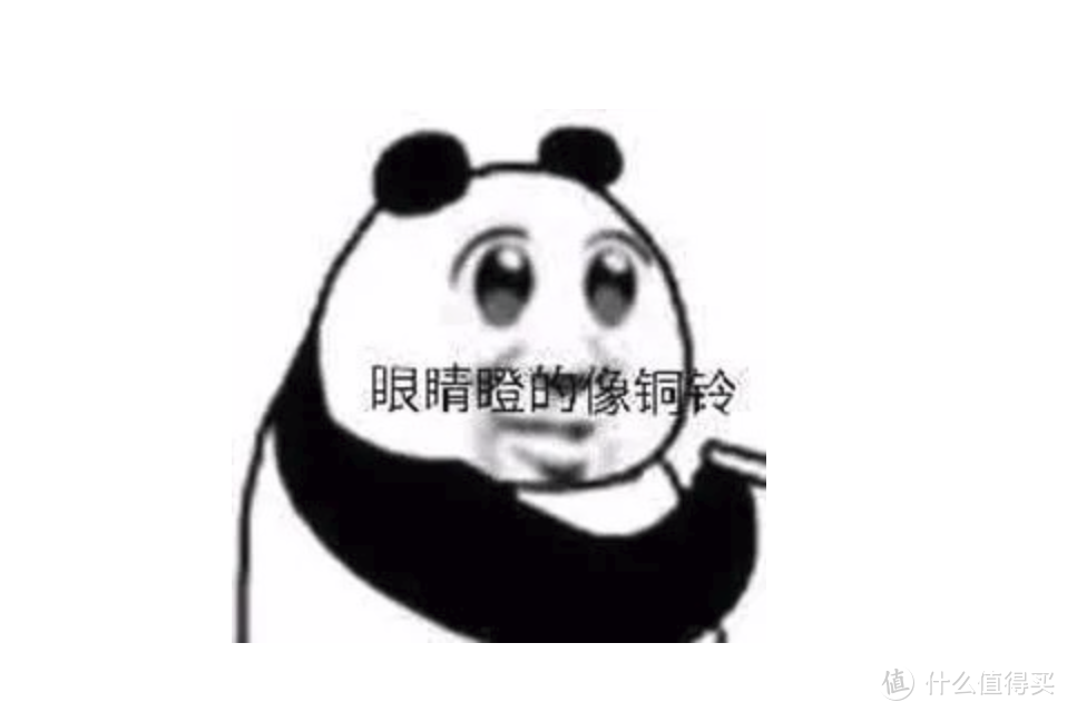熊猫战斗纪——黑眼圈是怎样练没的