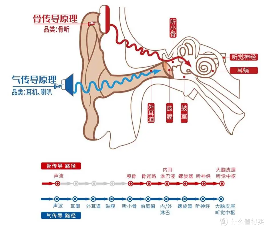 耳机又出新形态？真实测评earsopen骨聆SS900真无线骨传导蓝牙耳机在佩戴舒适度、音质、续航等方面表现