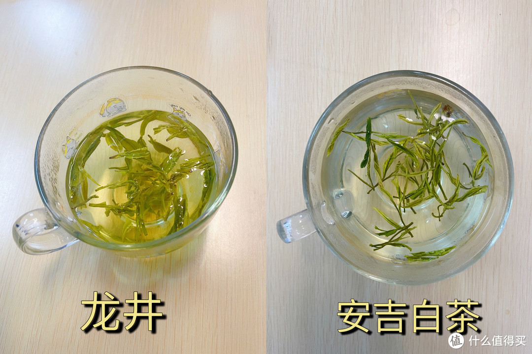 冬季养生来一杯绿茶🍵新茶客口粮绿茶分享