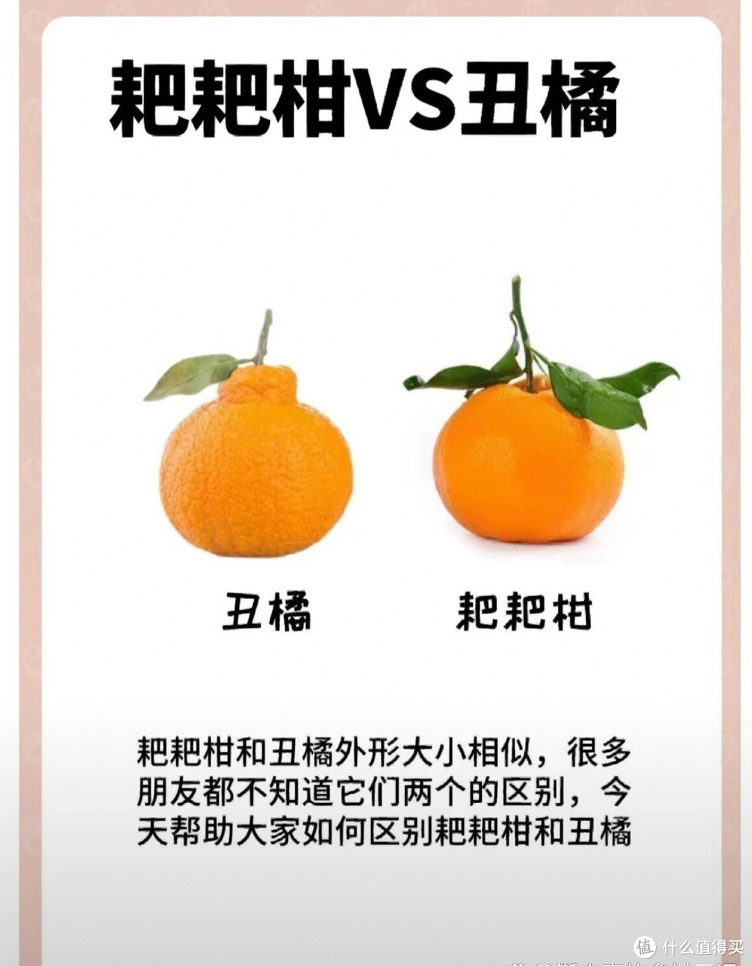 丑橘与耙耙柑大比拼，你分得清吗？