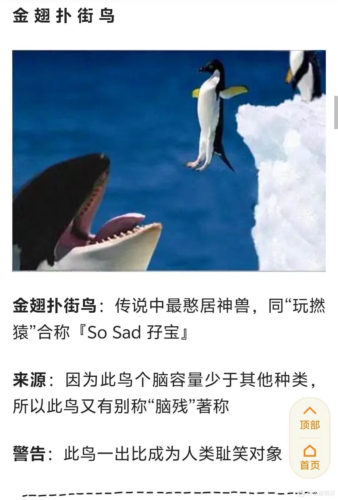 两广的兄弟才看的懂的“十大神兽”_宠物活体_什么值得买