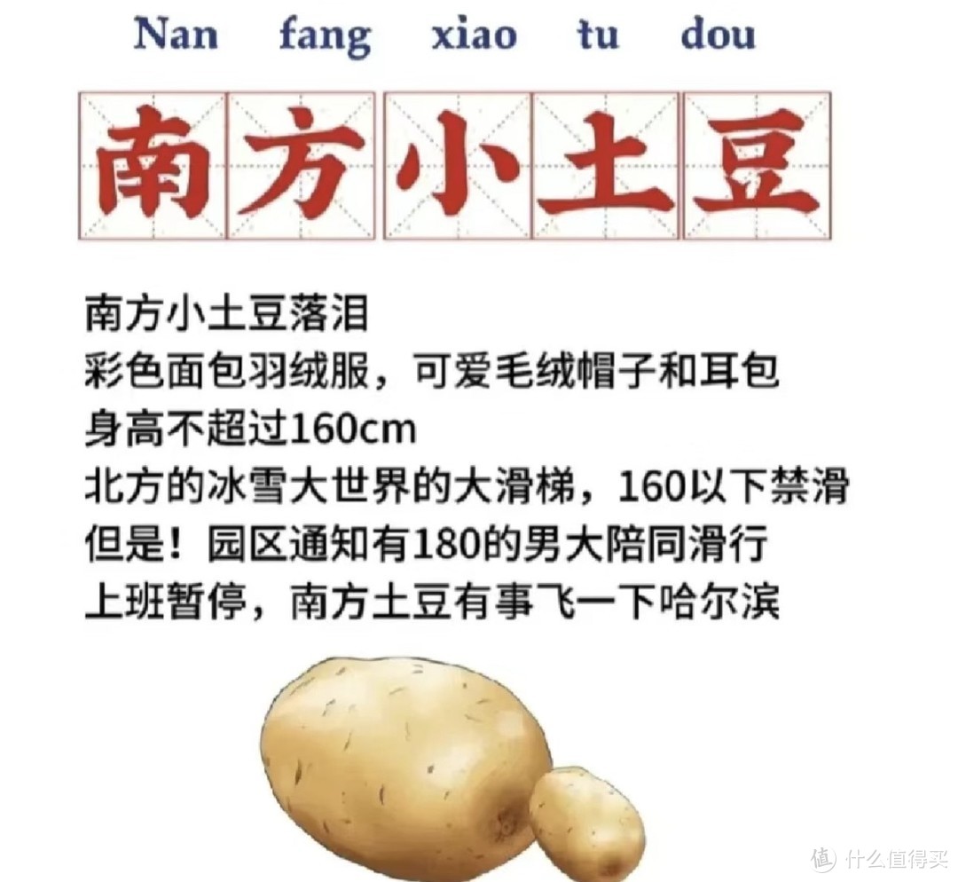 我们都爱金豆子！