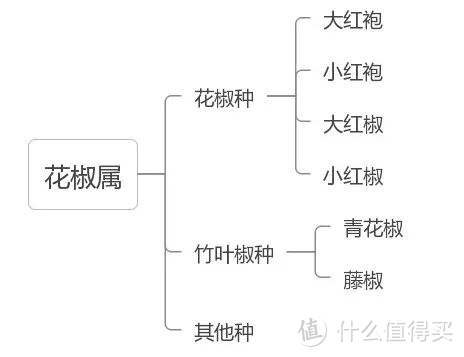 舌尖上的美味：藤椒油！