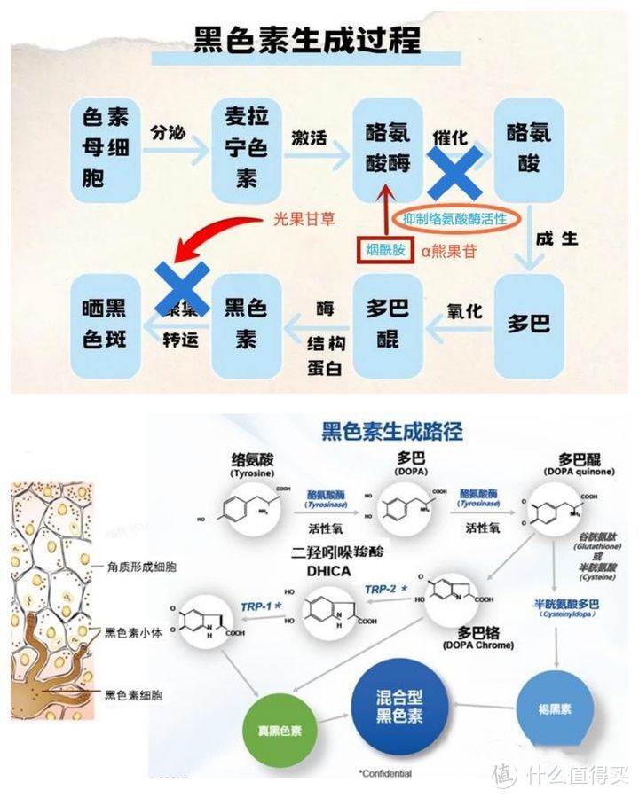 男士面膜不踩雷！（2024）10款男士面膜深度测评，这三款是男士面膜界的大牛，控油&补水&美白忒牛！！！