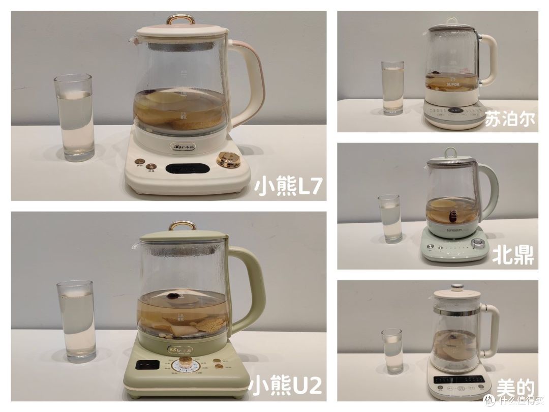 5款养生壶推荐测评：养生壶怎么选？养生壶什么牌子好？小熊/北鼎/美的等5款养生壶深度测评