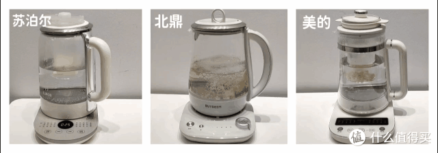 5款养生壶推荐测评：养生壶怎么选？养生壶什么牌子好？小熊/北鼎/美的等5款养生壶深度测评