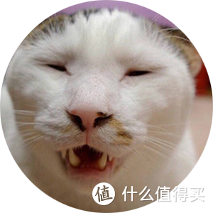 休闲风猛吹的当下，江诗丹顿为啥把高奢正装表当基操？上手玩过后我悟了！