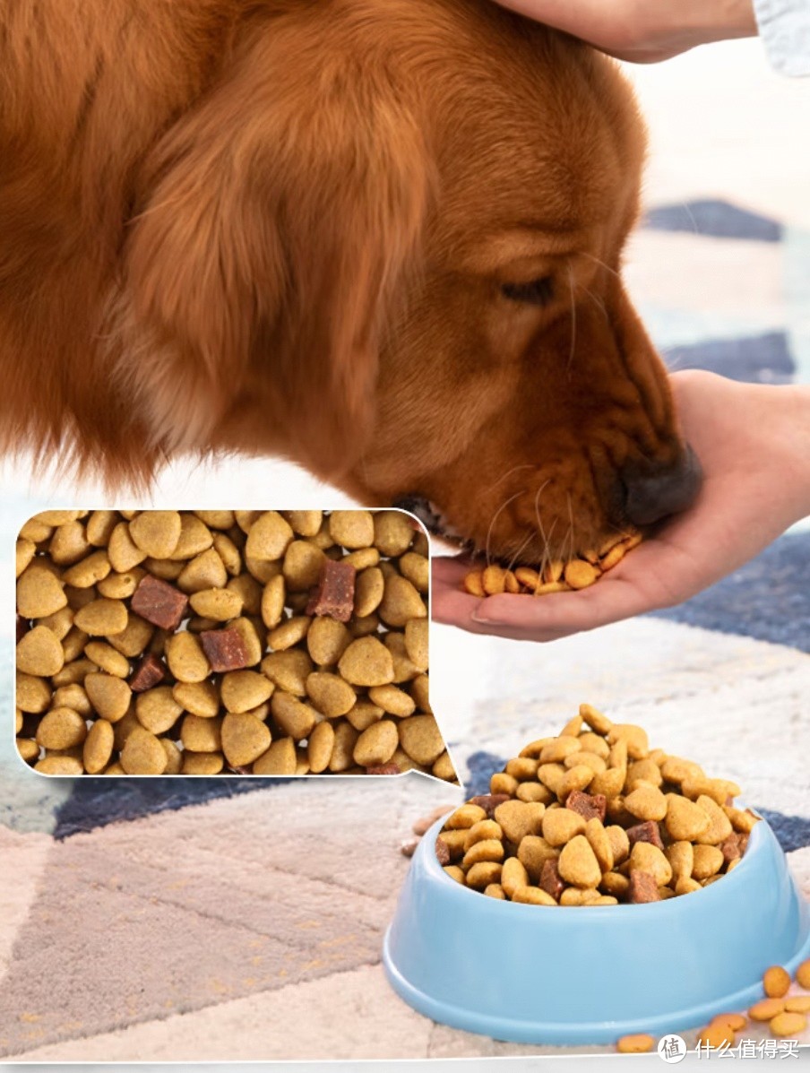 新手小白如何选择适合的狗粮，来看看吧！
