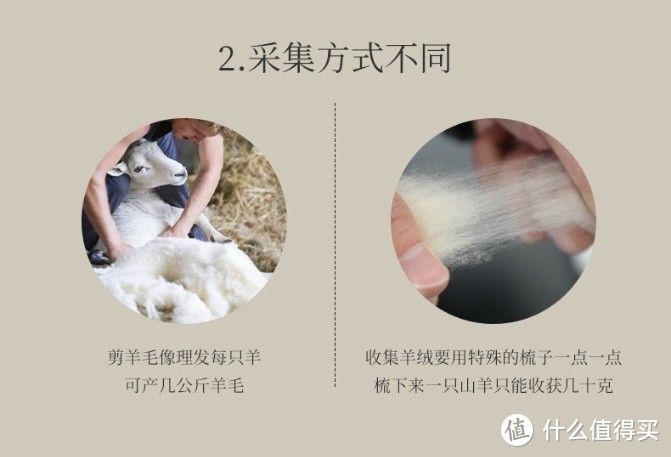 如何区别羊毛和羊绒材质的保暖内衣