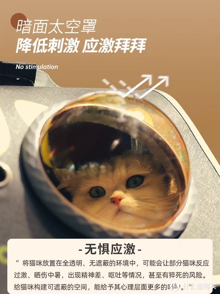 宠物年货，猫包