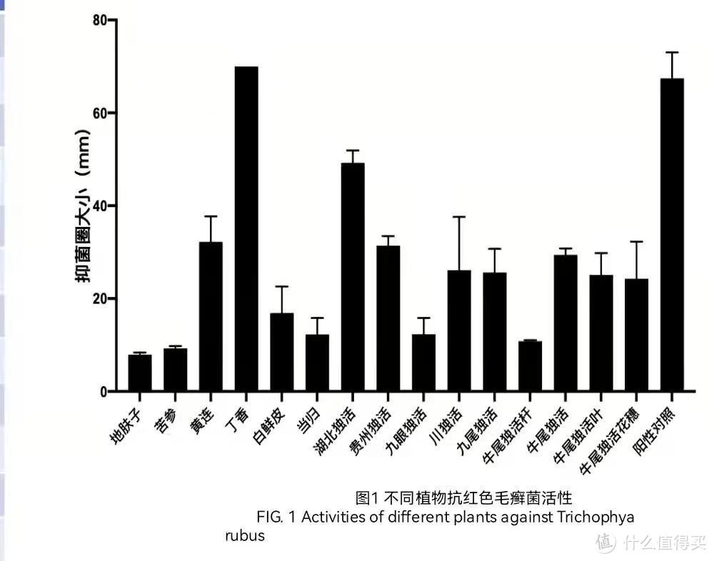 抑菌效果大比拼：武陵山独活提取物与丁香提取物的较量！