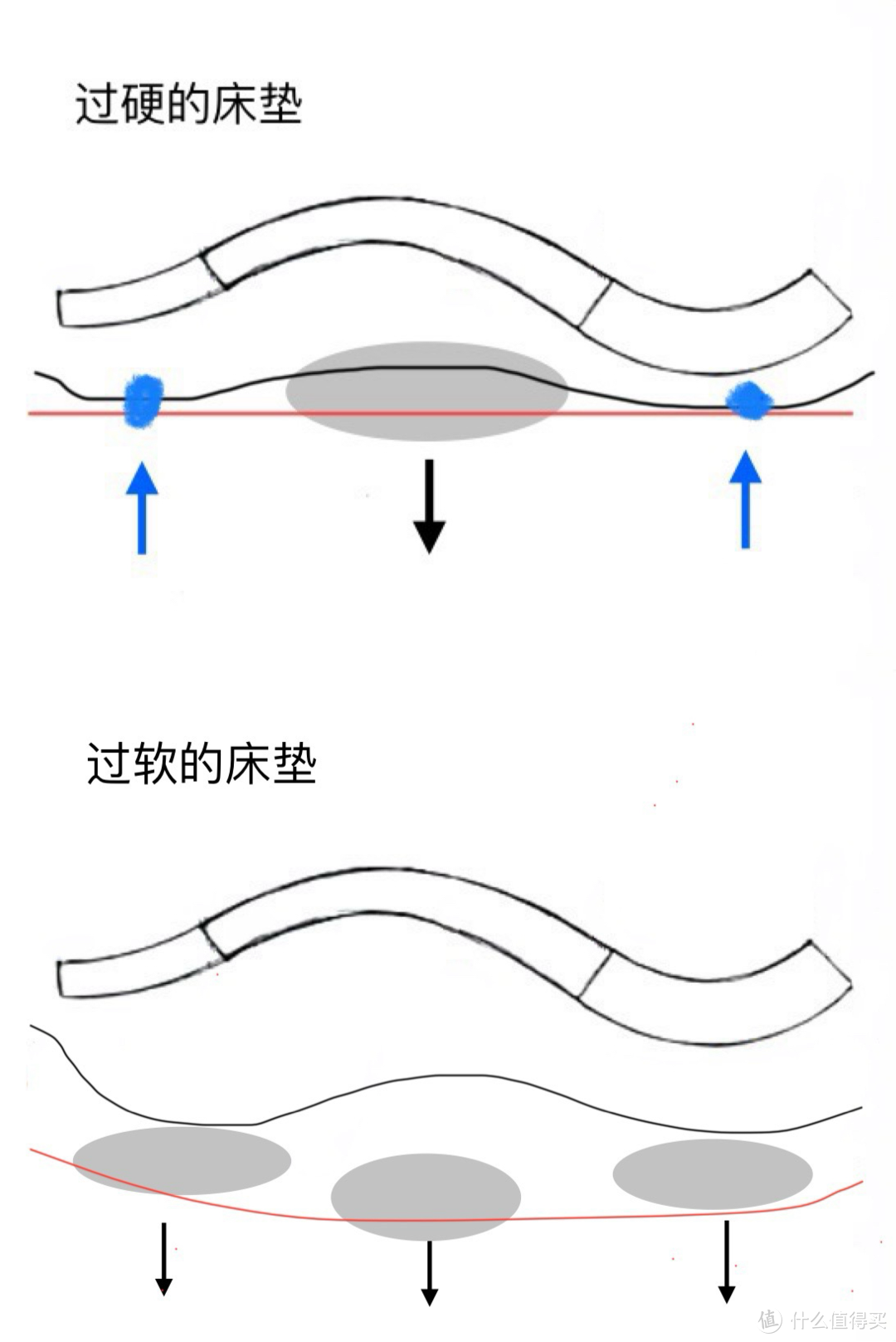 硬床垫真的比软床好吗？深度解析软床，教你选到软而不塌的床垫！