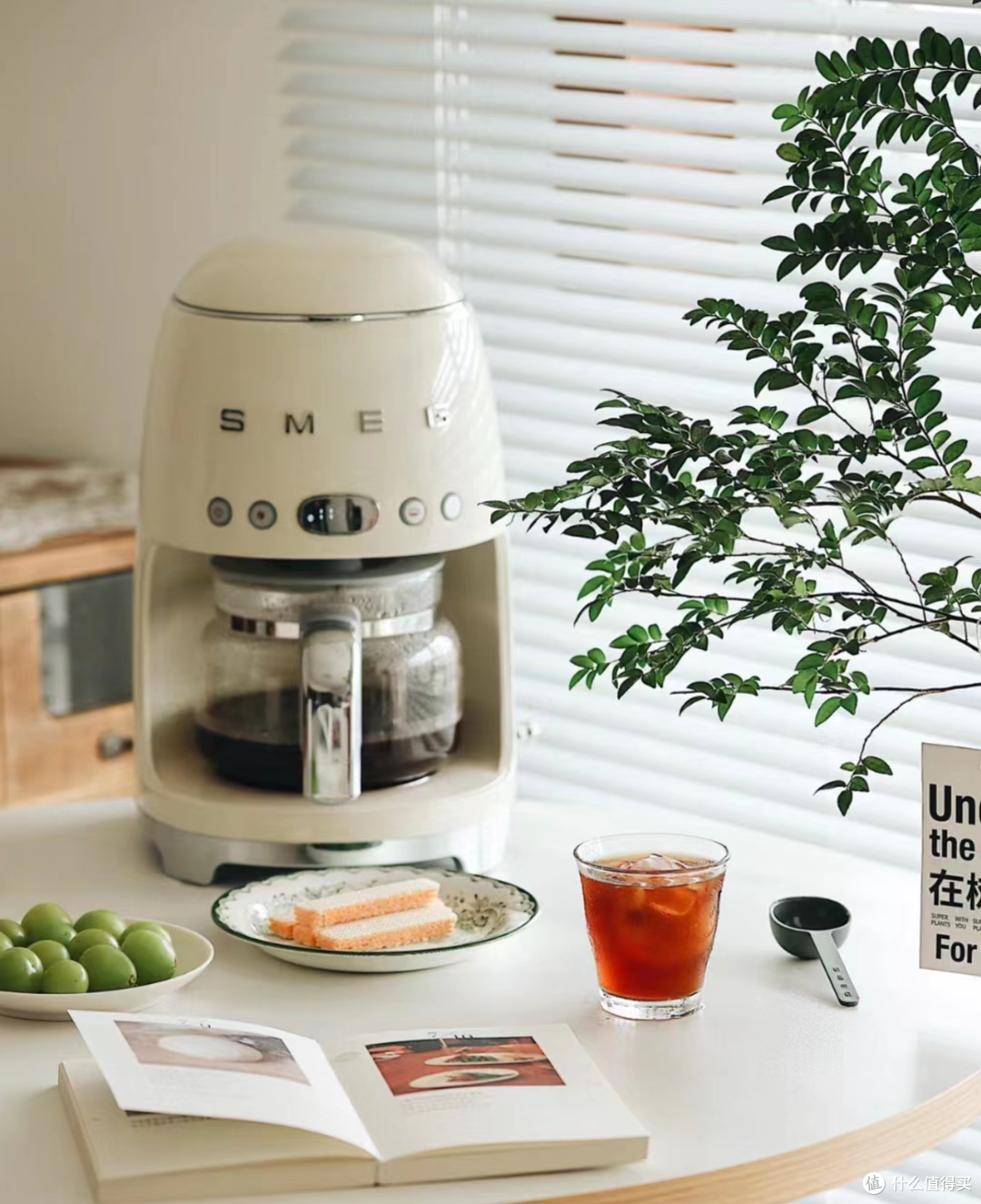 入门级咖啡机选购指南:热门爆款咖啡机选哪个?全价位热门爆款咖啡机实测推荐,实现咖啡自由