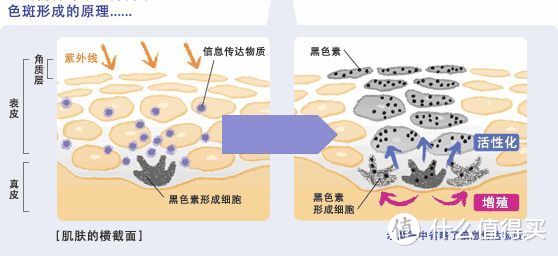 2024热门面膜推荐丨补水保湿、美白提亮、控油祛痘面膜推荐，让人无法拒绝的高性价比面膜！