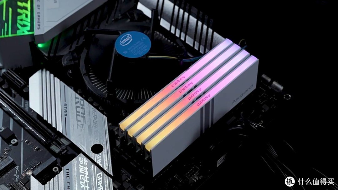 2024年DDR5内存条该怎么选？阿斯加特女武神RGB表现如何？
