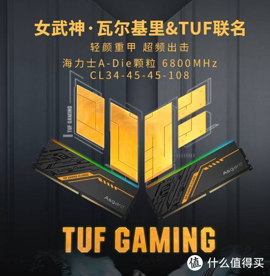补齐TUF全家桶关键一环- 阿斯加特（Asgard）TUF联名款DDR5内存