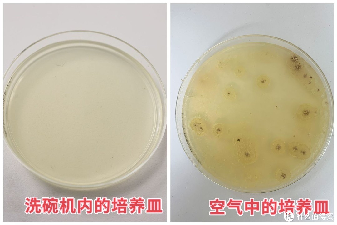 双面精洗，开启洗碗机新时代？海尔晶彩W5000洗碗机深度测评！洗碗黑科技，体验之后真香了