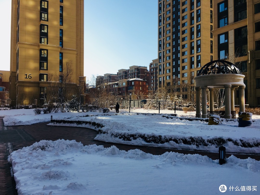 大雪纷飞，记录美景