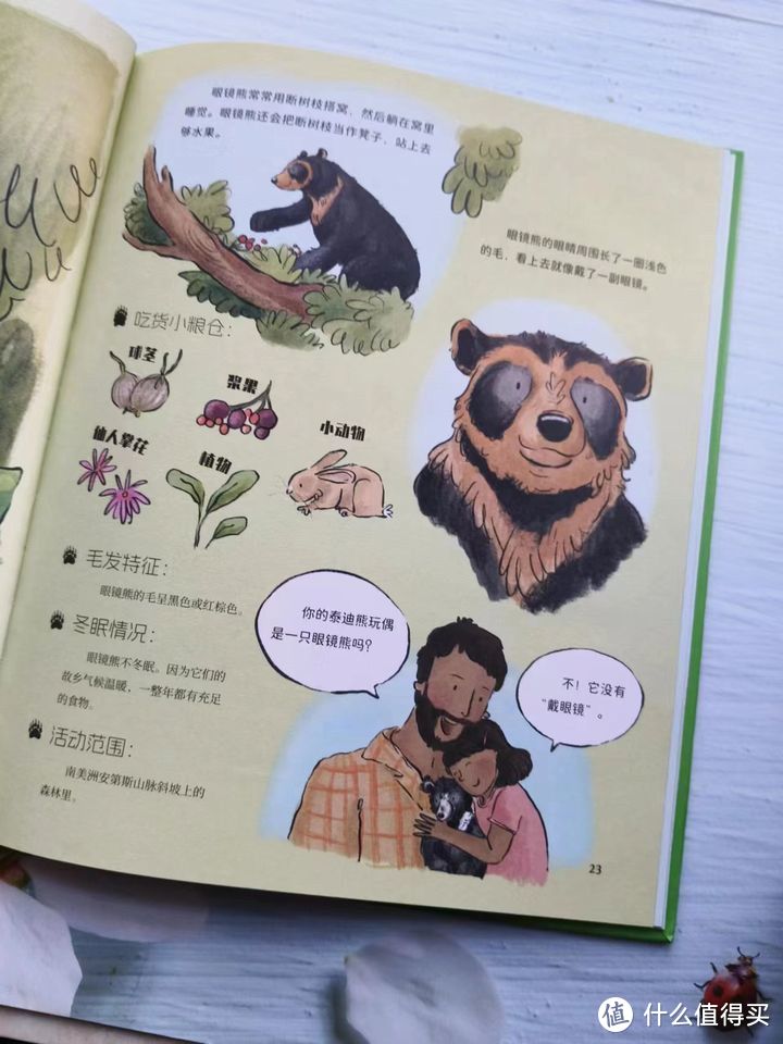 足不出户去带孩子来一场熊乡探险之旅！