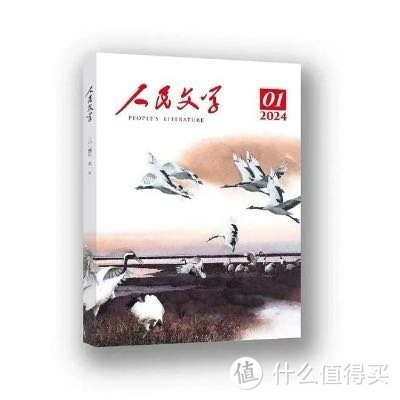 除了“与辉同行”一夜售出8万套的《人民文学》，这些文学刊物也在等待“破圈”