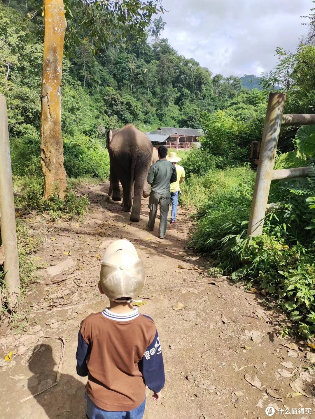 扶老携幼去旅行-昆明-西双版纳（下篇）