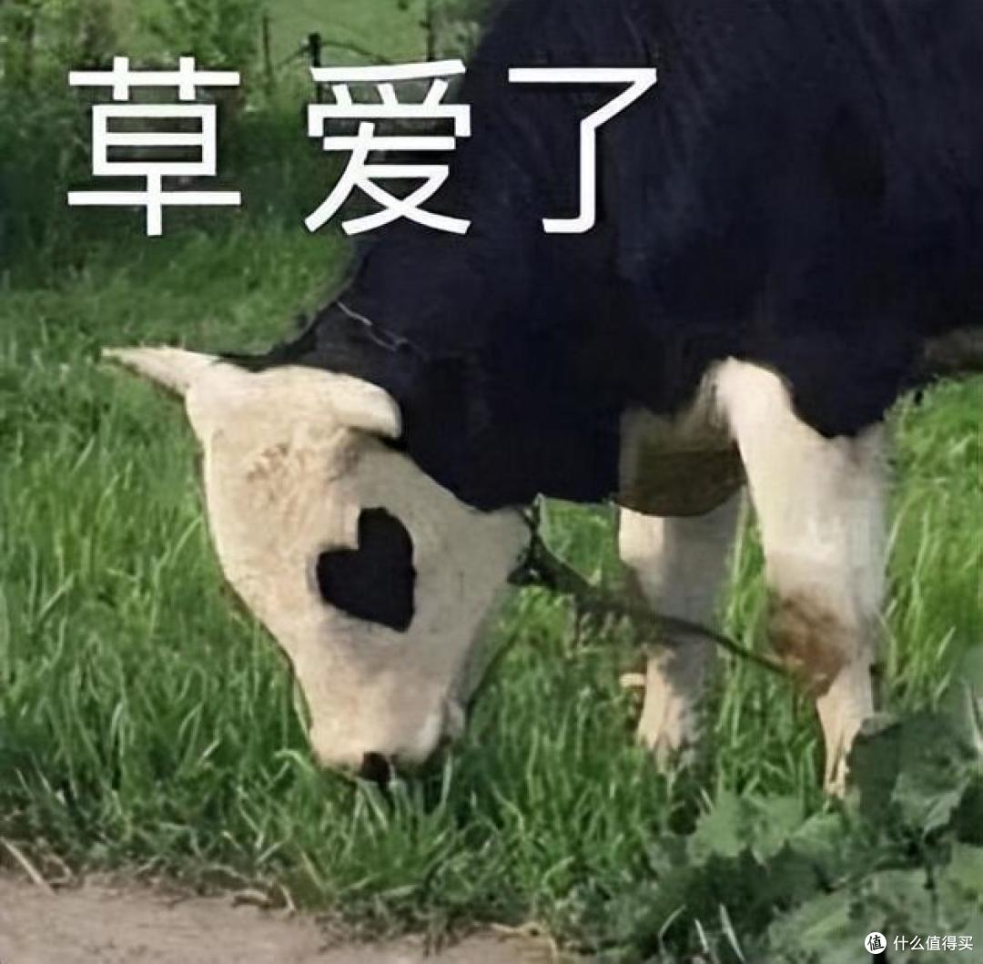 详解绿联NAS智能相册!三大变化 & 跨生态多设备数据统一管理指南