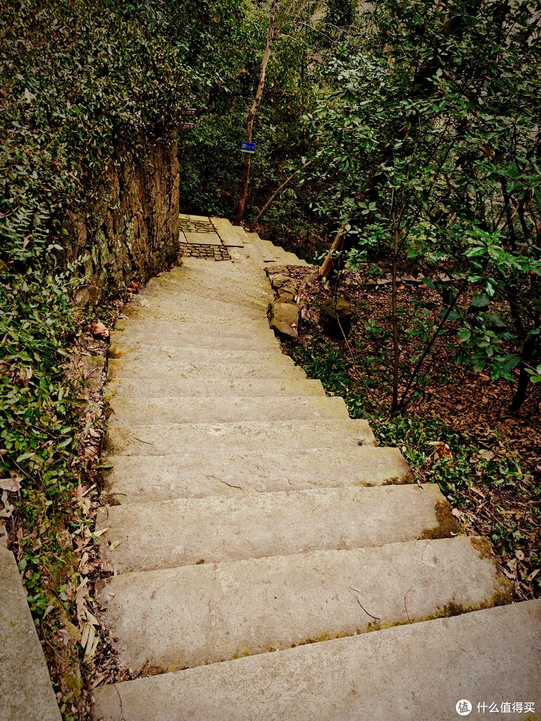 有你更酷，两线体验宝石山登高看杭州西湖的美景