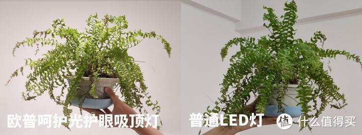 吸顶灯选购应该侧重哪方面体验？最新吸顶灯选购攻略奉上，附欧普呵护光护眼吸顶灯体验分享！