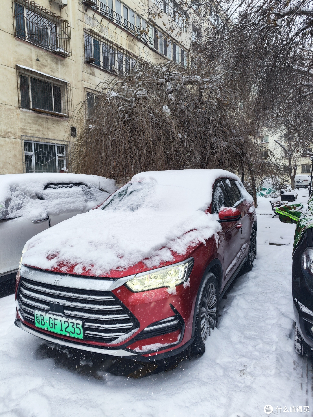 带广东靓仔"赶"雪