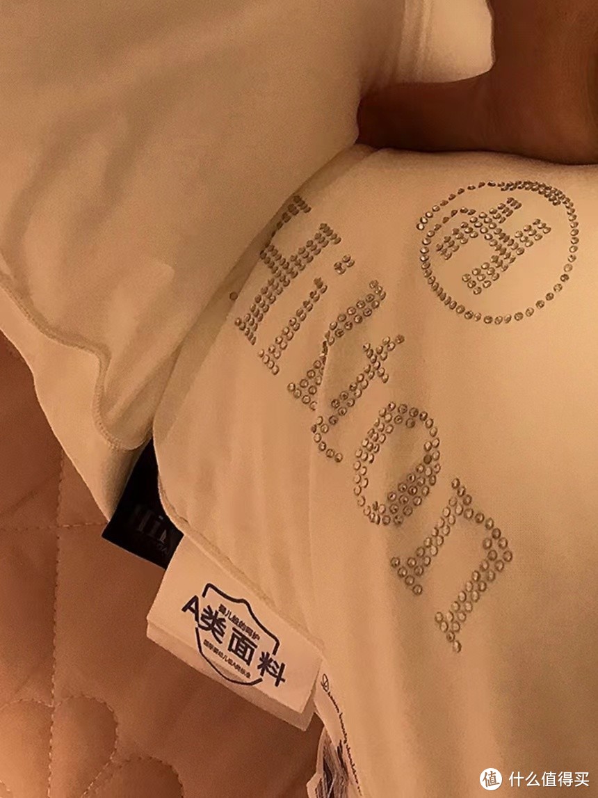 酒店睡过一次就爱上了枕头。