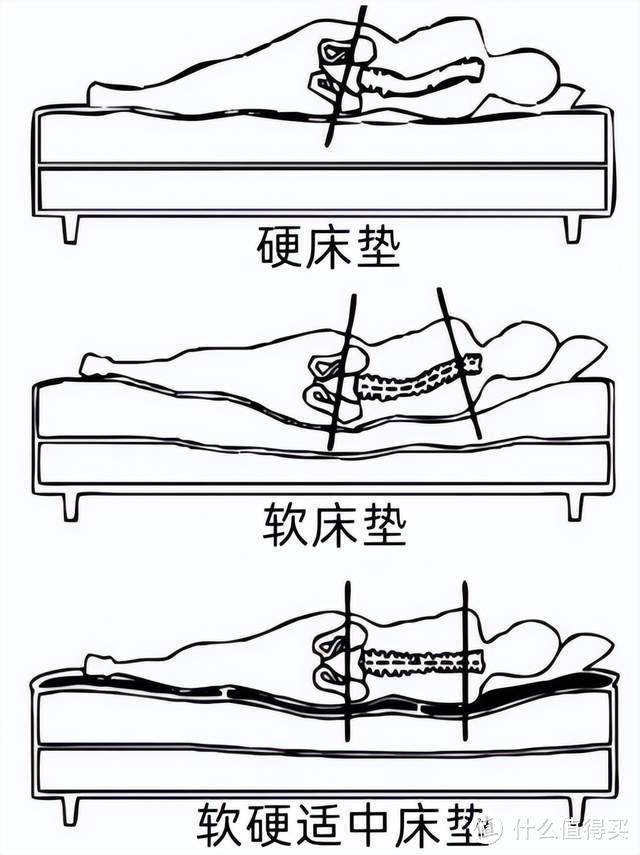 床垫过软或过硬都很伤脊柱