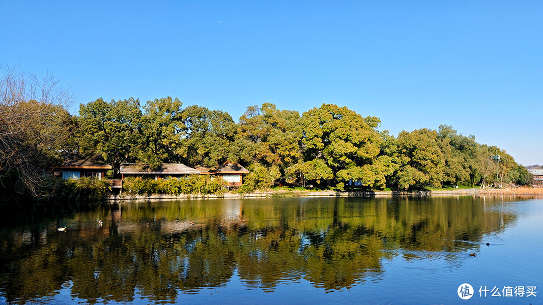 游西湖十景之曲院风荷和赏郭庄私家园林的静美
